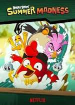 Watch Angry Birds: Summer Madness Niter