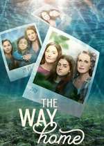 the way home tv poster