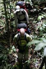 Watch Walking The Amazon Niter