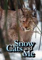 Watch Snow Cats and Me Niter