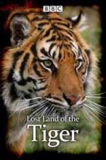 Watch Lost Land of the Tiger Niter
