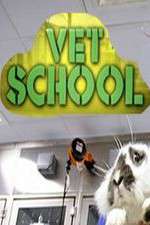 Watch Vet School Niter