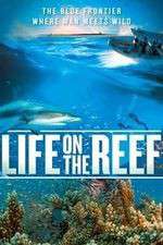 Watch Life on the Reef Niter