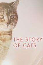 Watch The Story of Cats Niter