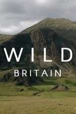 Watch Wild Britain Niter