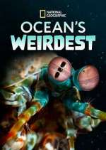 Watch Ocean's Weirdest Niter