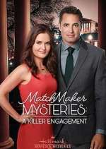 Watch The Matchmaker Mysteries Niter