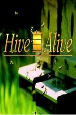 Watch Hive Alive Niter
