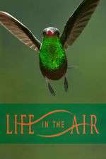 Watch Life in the Air Niter