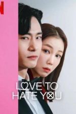 love to hate you tv poster