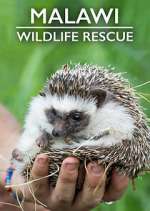 Watch Malawi Wildlife Rescue Niter