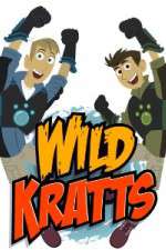 Watch Wild Kratts Niter