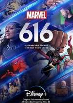 Watch Marvel's 616 Niter
