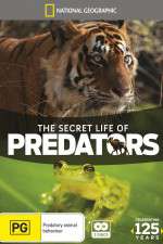 Watch Secret Life of Predators Niter