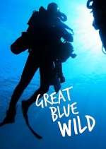 Watch Great Blue Wild Niter