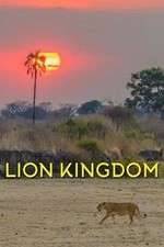 Watch Lion Kingdom Niter
