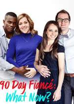 90 day fiancé: what now? tv poster
