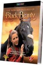Watch The New Adventures of Black Beauty Niter