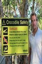 Watch Swimming With Crocodiles Niter