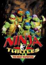 Watch Ninja Turtles: The Next Mutation Niter