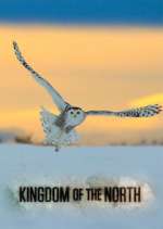 Watch Kingdom of the North Niter