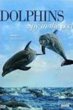 Watch Dolphins: Spy in the Pod Niter
