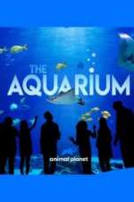 Watch The Aquarium Niter