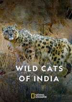 Watch Wild Cats of India Niter