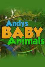 Watch Andy's Baby Animals Niter