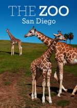 Watch The Zoo: San Diego Niter