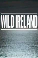 Watch Wild Ireland Niter