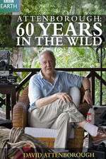 Watch Attenborough 60 Years in the Wild Niter