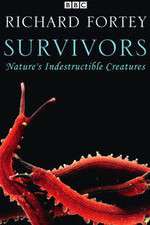 Watch Survivors: Nature's Indestructible Creatures Niter