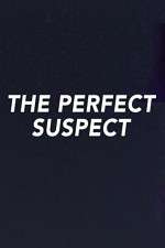 Watch The Perfect Suspect Niter