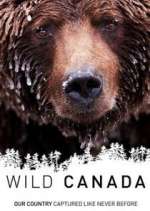 Watch Wild Canada Niter