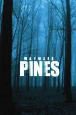 Watch Wayward Pines Niter