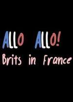 Watch Allo Allo! Brits in France Niter