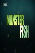 Watch National Geographic Monster Fish Niter