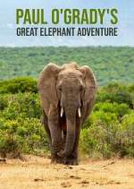 Watch Paul O'Grady's Great Elephant Adventure Niter