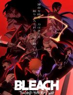 Watch Bleach: Thousand-Year Blood War Niter