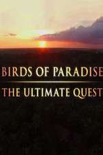 Watch Birds of Paradise: The Ultimate Quest Niter