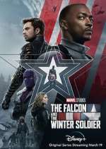 Watch The Falcon and The Winter Soldier Niter