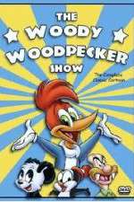 Watch The Woody Woodpecker Show Niter