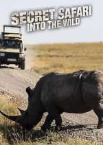 Watch Secret Safari: Into the Wild Niter