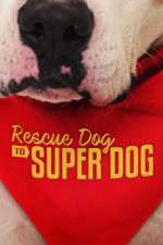 Watch Rescue Dog to Super Dog (US) Niter