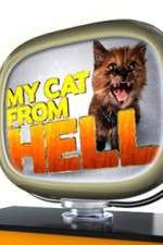 Watch My Cat from Hell Niter