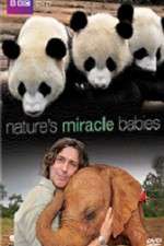 Watch Natures Miracle Babies Niter