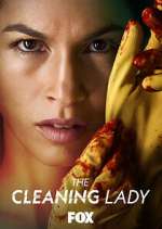 Watch The Cleaning Lady Niter