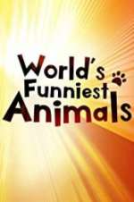 Watch The World\'s Funniest Animals Niter