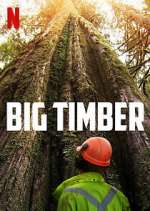 Watch Big Timber Niter
